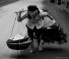 Tình mẹ